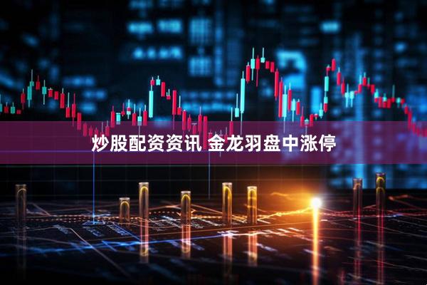 炒股配资资讯 金龙羽盘中涨停
